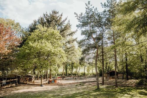 Kilátás, Eifelhüttchen Rotkehlchen (Eifelhuttchen Rotkehlchen) in Auderath