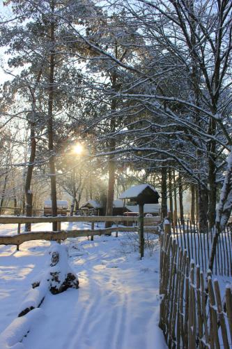 Schäferwagen Grünspecht (Schaferwagen Grunspecht) in Auderath
