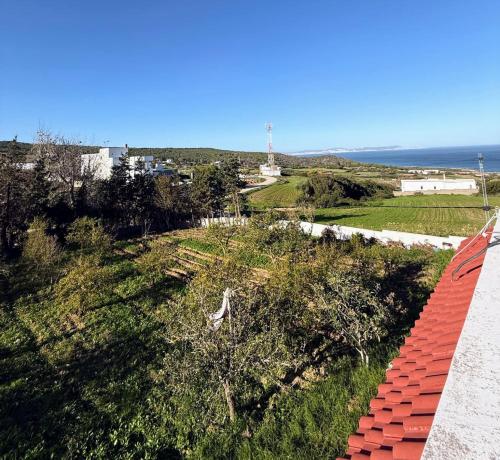 Skats, Villa Jade in El Alia