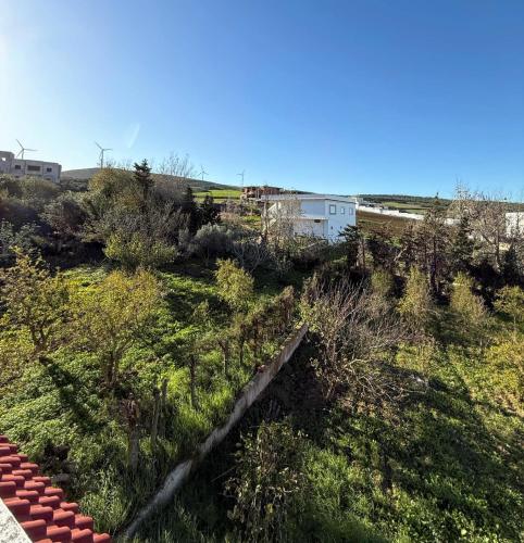 Skats, Villa Jade in El Alia