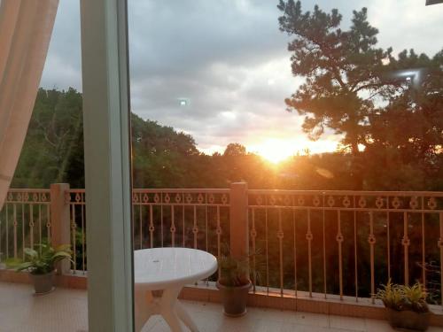 Lashisha in Shillong