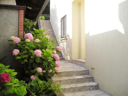 Villa Luka Room Type - One-Bedroom Apartment