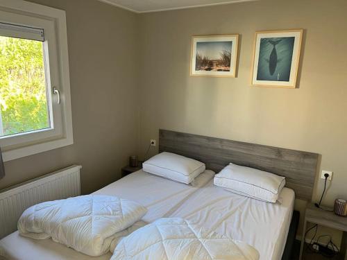 Cube 8 - Neues Ferienhaus im Ferienpark am Badesee, Lathum (foto 9)