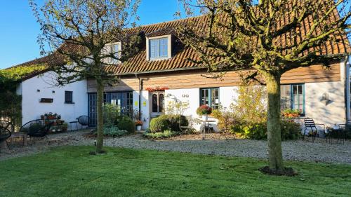 B&B Droomkerke - image 7
