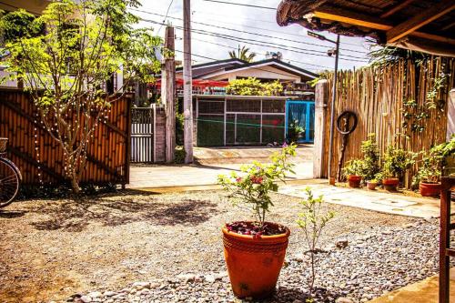 Duon Baler - Seconds from Sabang beach, your peaceful escape Duon Baler - Seconds from Sabang beach, your peaceful escape