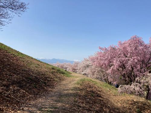 YAMABE BOSSA inn