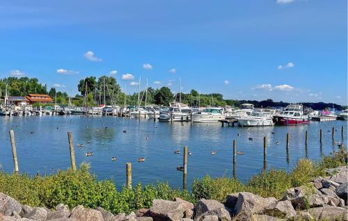 A szálláshely kívülről, Ferienhaus Klink in Klink
