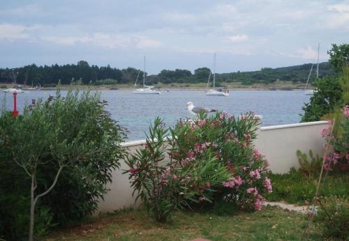 Seadmed, Apartments Azur in Ilovik