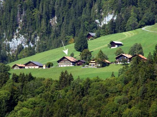 Apartment Adlemsried by Interhome in Boltigen