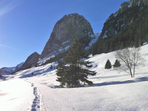 Apartment Adlemsried by Interhome in Boltigen