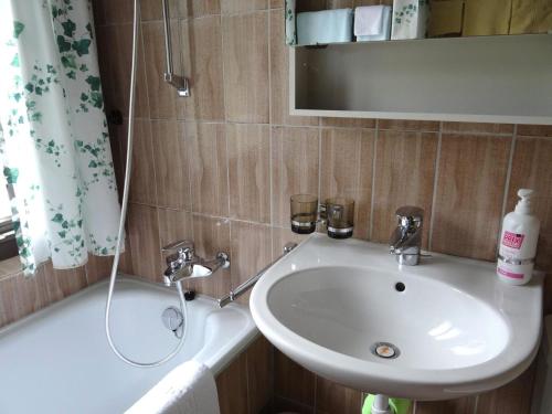 Apartment Birkenstrasse 70-2 by Interhome in Engelberg