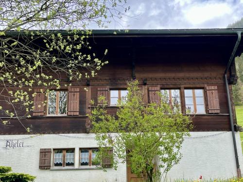  Apartment Akelei - gross by Interhome in Zweisimmen