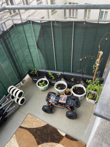 Dikmen family house in Berlin, Berlin (photo 5)