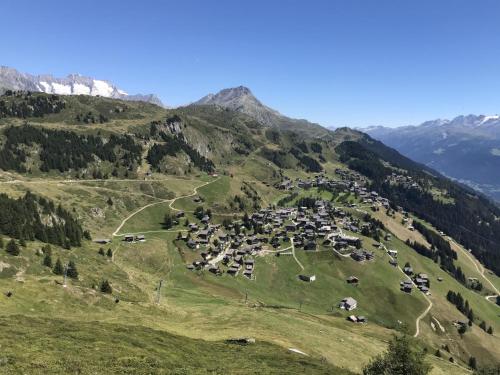 Apartment Almenrausch 1- OG Süd-Ost by Interhome (Apartment Almenrausch 1- OG Sud-Ost by Interhome) in 里德拉爾普