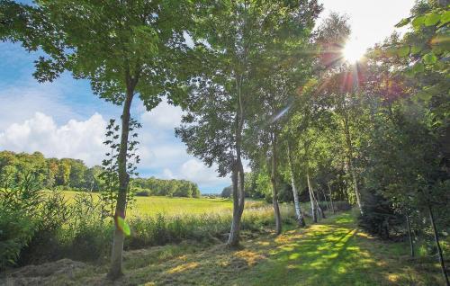 外部景觀, Ferienwohnung Groß Plasten in 格羅斯普拉斯滕