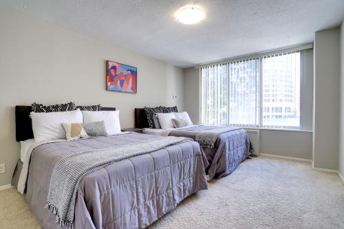 Spacious Apartment Perfect to Business Trip! in Arlington, USA