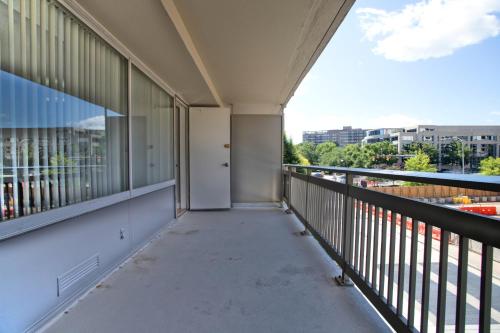 Spacious Apartment Perfect to Business Trip! in Arlington, USA