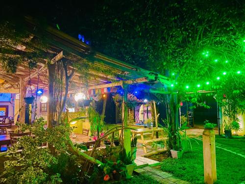 Surfing Life in Midigama Beach