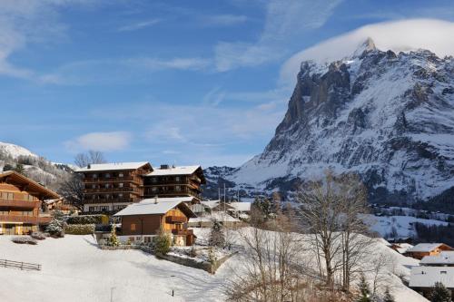 Hotel Kirchbühl Superior - image 9