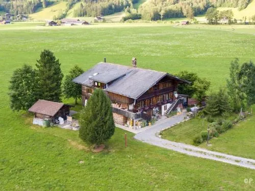 Apartment Trachsel-Huus by Interhome in Lenk im Simmental, Schweiz