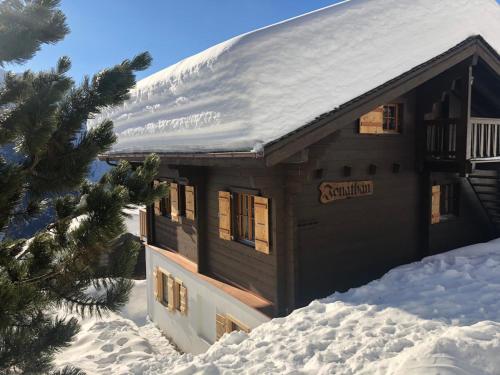 Apartment Jonathan EG Süd by Interhome in Riederalp, Schweiz