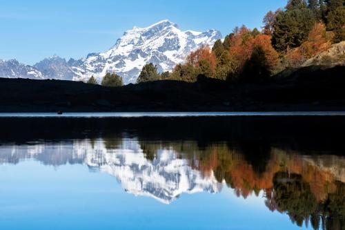 Abbraccio Alpino Abbraccio Alpino