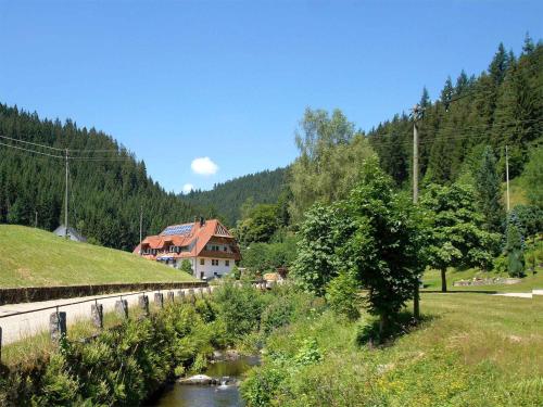 Gästehaus Herrmann - Bad Rippoldsau-Schapbach