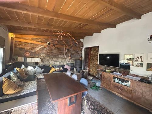 Panpan home in Toxotes Xanthis
