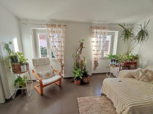 Chambre à 3 min de la Promenade des Anglais à pieds 200m, Nizza (foto 6)