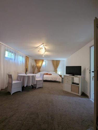 . Apartments in Vienna suburbs - 40 min from Vienna city center