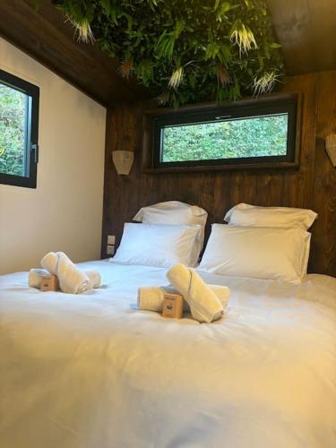 Chalet et Spa au cœur de la nature gîte à louer Saint-Martin-du-Tertre