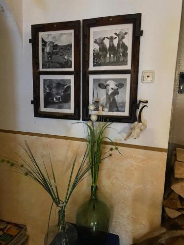 Hansenbauernhof - image 3