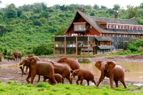 The Ark Lodge