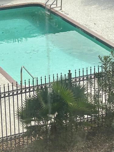 One-Bedroom Suite with Pool View in Houston Texas in Houston, USA