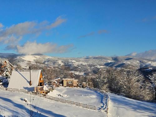 Cabana Lupul din Apuseni in Mătişeşti