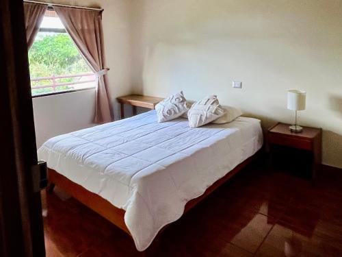 Los Tucanes Lodging - image 2