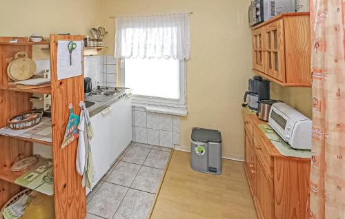 virtuve, Awesome Apartment In Mühl Rosin (Awesome Apartment In Muhl Rosin) in Muhl Rosin