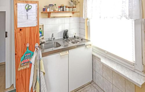 virtuve, Awesome Apartment In Mühl Rosin (Awesome Apartment In Muhl Rosin) in Muhl Rosin