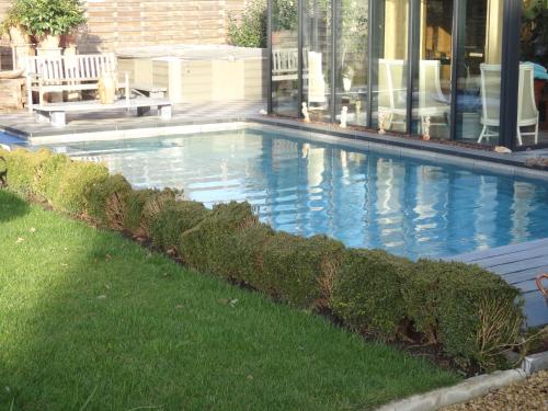 Art Of Dreams Deluxe 4 stars - image 3