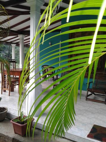 Sigiri Leisure Holiday Home