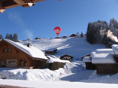 Chalet Jonquille - image 13
