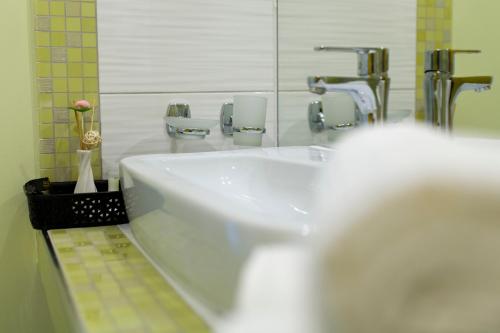 Conacul din Ardeal - image 11