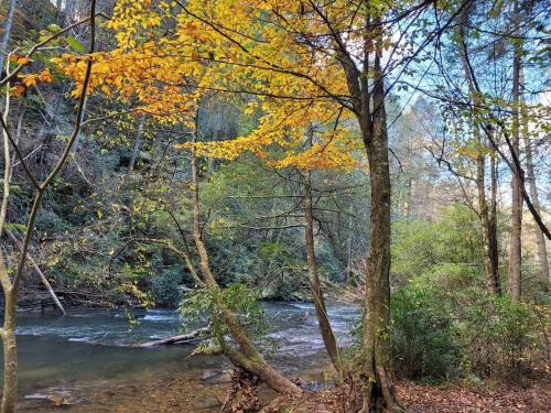 Lullaby Creek in Ellijay, USA