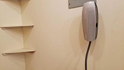 Paper Birch 09 Paper Birch 09