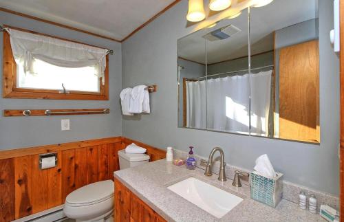 Pittsfield Chalet - image 10