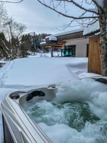 Ferienhaus am See mit Sauna und Whirlpool in Wienerbruck