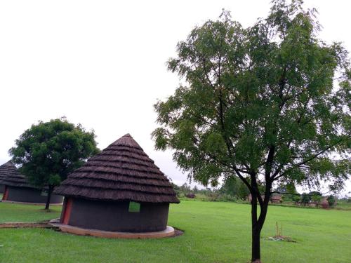 Grassroots Cottages Murchsion Falls in Paraa