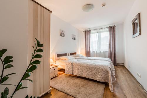 Wołosań B&B