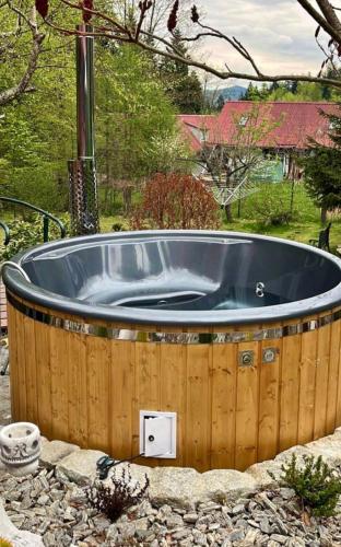 Úszómedence, Casa de vacanță Ovidiu (Casa de vacanta Ovidiu) in Nucet