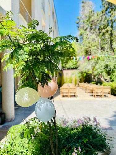 Hotel Carmen - image 3